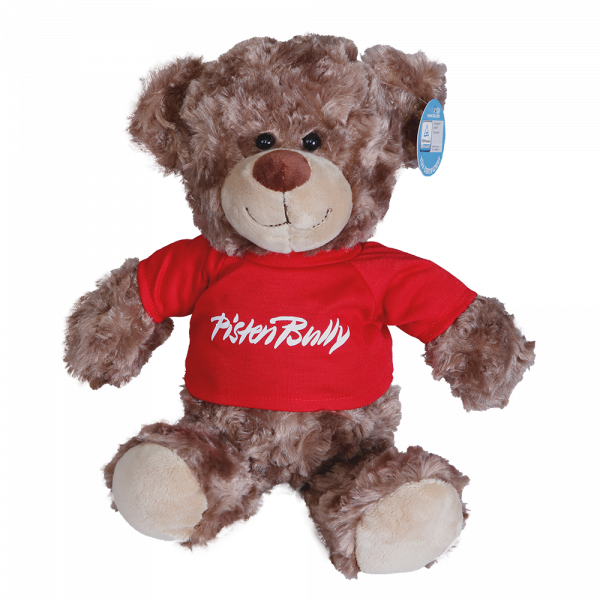image-alt-Teddybär PistenBully